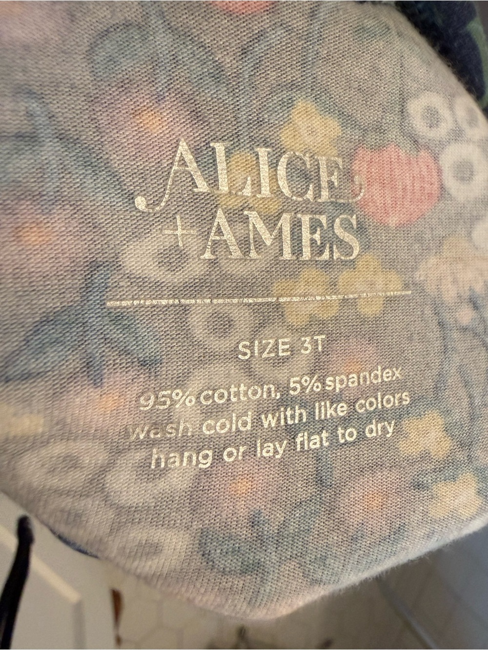 Alice+Ames Peter Pan Ballet Dress in Hanna Floral - Picture 3 of 3